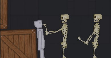 SkeletonMod People Playground